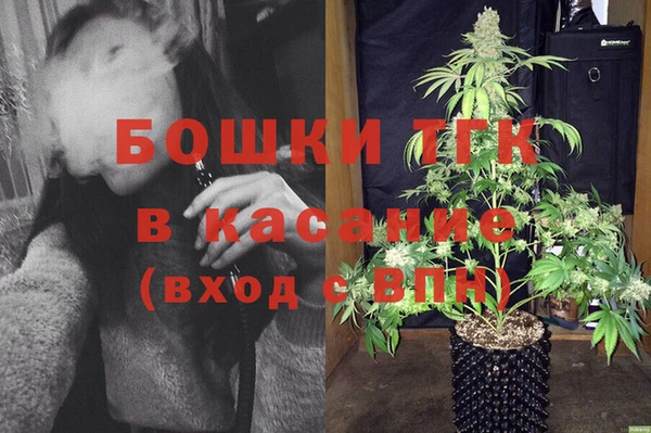 индика Бугульма